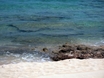 Anguilla british isle beach ocean