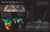 natgeo national geographic gray wolf article