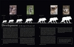 natgeo national geographic gray wolf article
